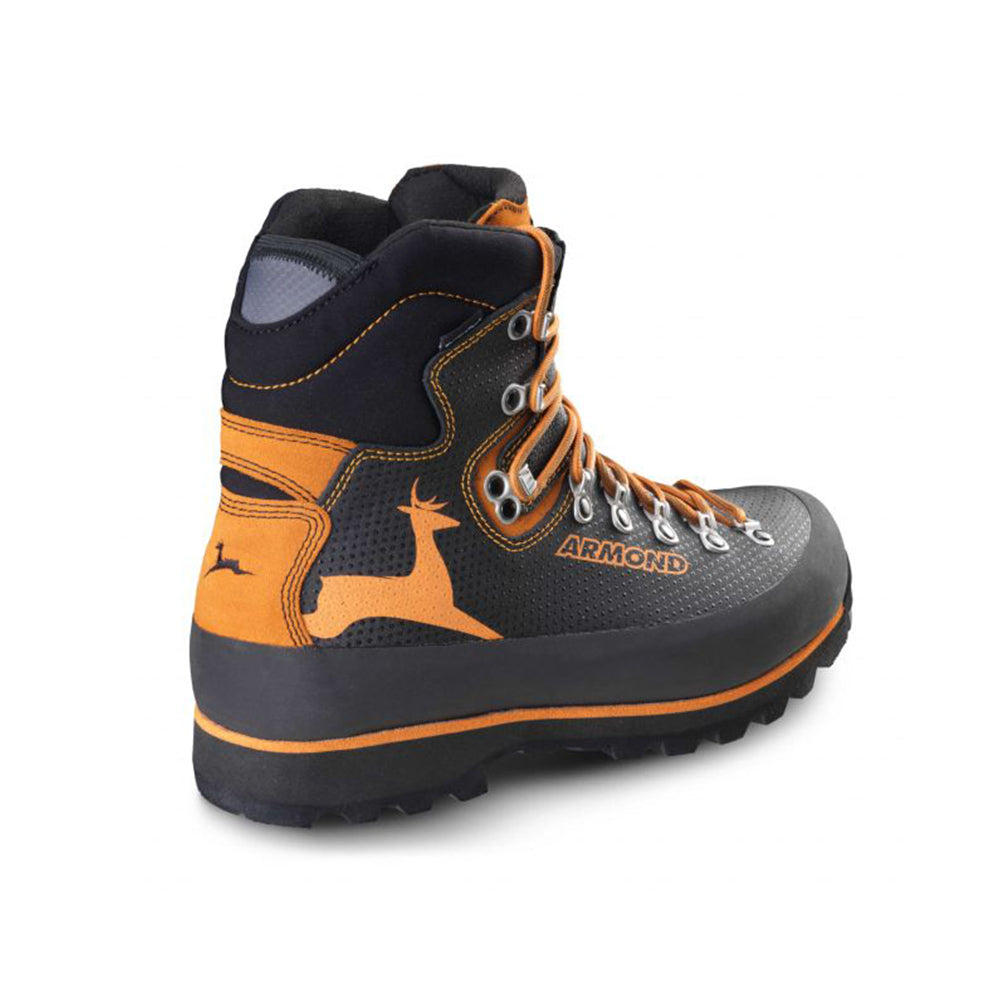 Armond piz palù ht 2555
